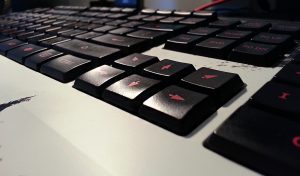 Read more about the article STEELSERIES GUILD WARS 2 GAMING KEYBOARD REVIEW