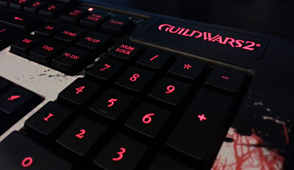 Guild wars 2 Keyboard