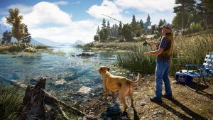 Read more about the article Problems Solved Playing FarCry 5 on Playstation 4