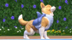 Read more about the article Is your Sims 4 Cats & Dogs Crashing or Freezing? Troubleshooting Guide.