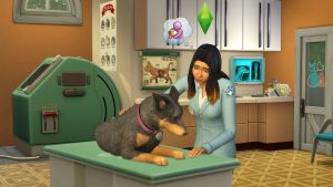 Read more about the article Sims 4 Cats & Dogs Audio | All Formats Guide.
