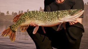 Read more about the article For any and all Fishing Sim World Audio Issues | Fixes