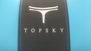 Read more about the article TOPSKY – High Back, Reclining, Lumbar Gaming Chair – Review
